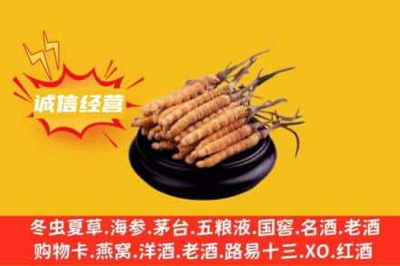 南通回收冬虫夏草